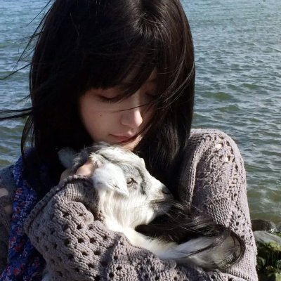 手机里的眼泪